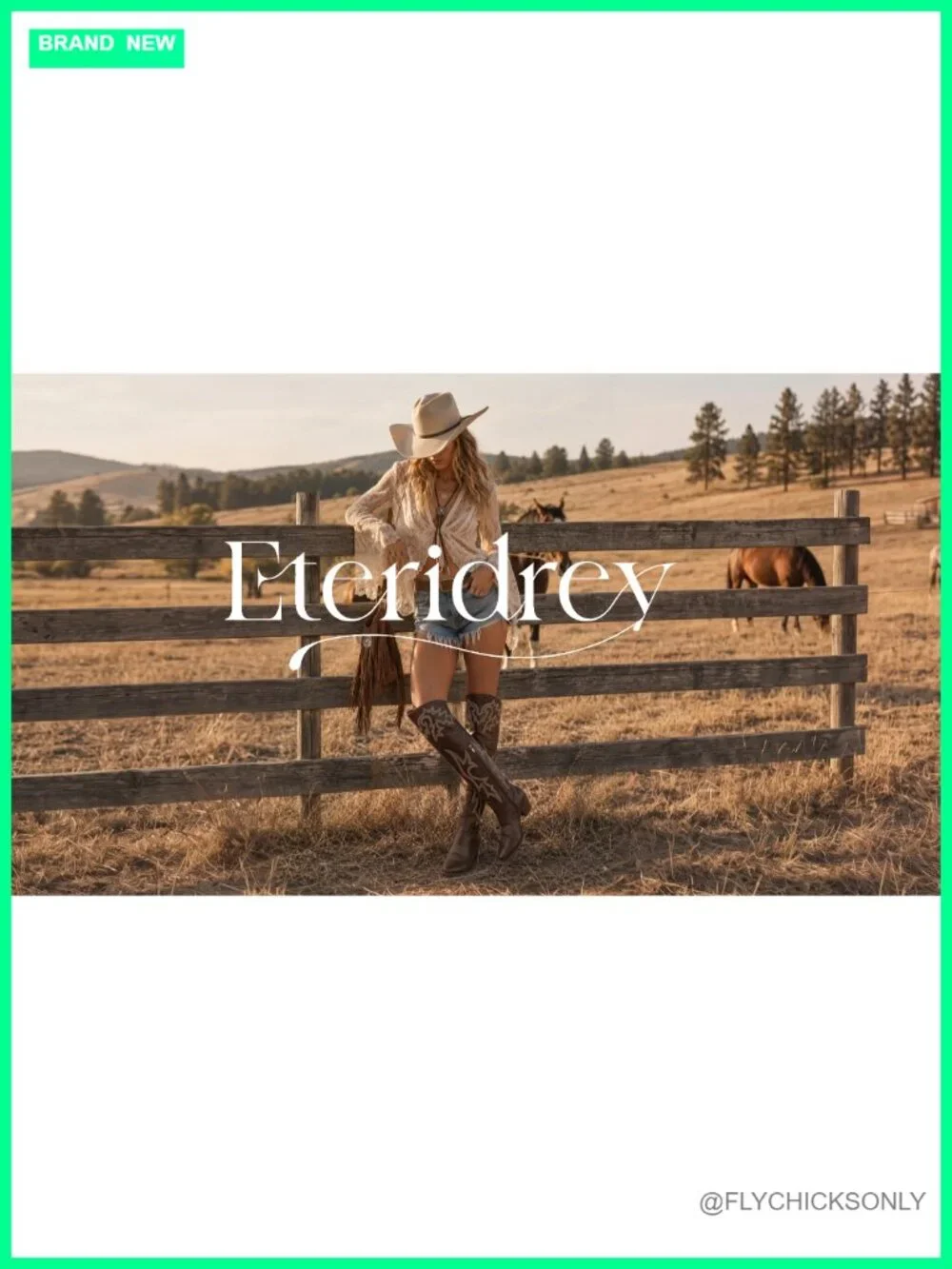 Over The Knee Cowboy Boots Women Pointed Toe Western Boots Chunky Heel Side Zip